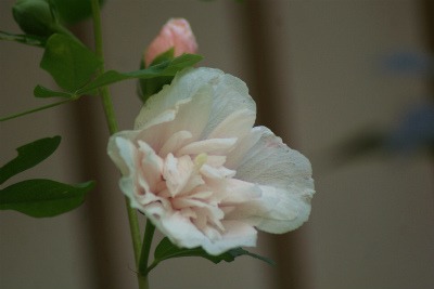 f0170524_13571136.jpg