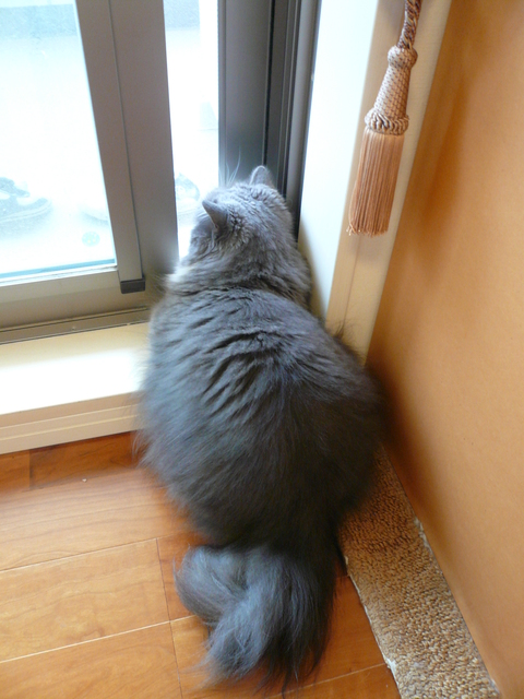 僕の哀しい現実?_e0237625_2325267.jpg
