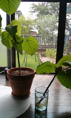 a0218430_14124634.jpg