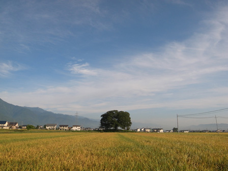a0014840_215518.jpg