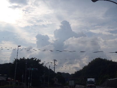 a0054240_21412742.jpg