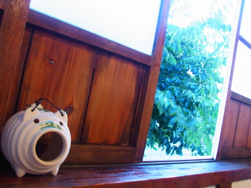 秋ですね~♪_b0207642_15513187.jpg