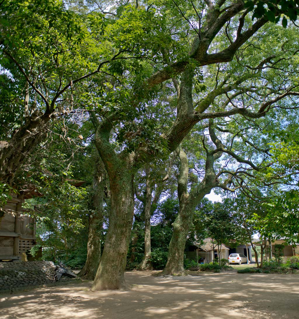 御勢大霊石神社　福岡県小郡市_b0023047_428482.jpg