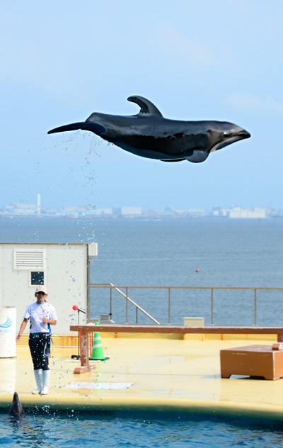マリンワールド_b0016049_0503020.jpg