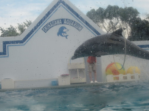 しながわ水族館 ♪_f0032049_2058577.jpg