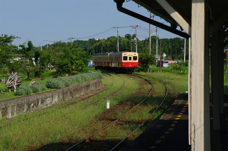 小湊鐵道　上総鶴舞駅．．．_f0152550_21462512.jpg