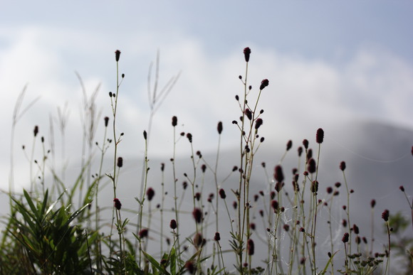 f0144153_9314060.jpg