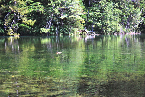 a0248459_19152774.jpg