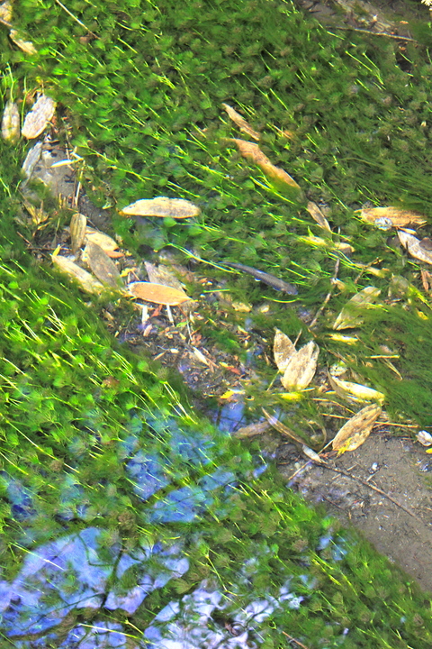 a0248459_1916154.jpg