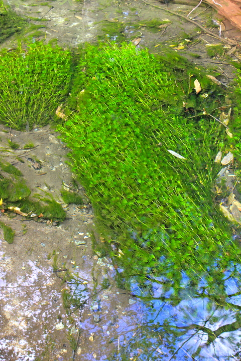 a0248459_19163015.jpg