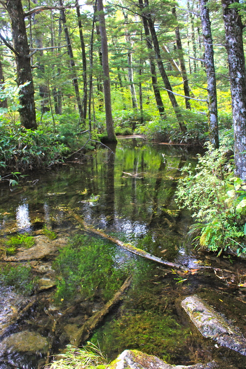 a0248459_19163846.jpg