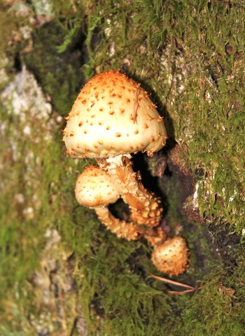 a0248459_6482325.jpg