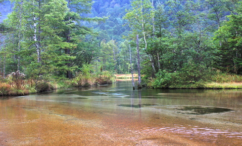 a0248459_6502071.jpg