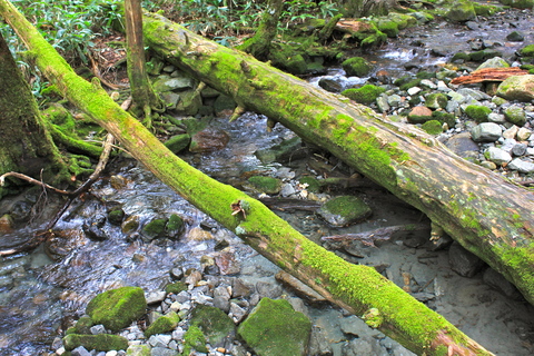 a0248459_6521589.jpg
