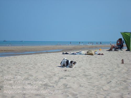 　もう夏恒例のBeachですので。_e0203961_51176.jpg