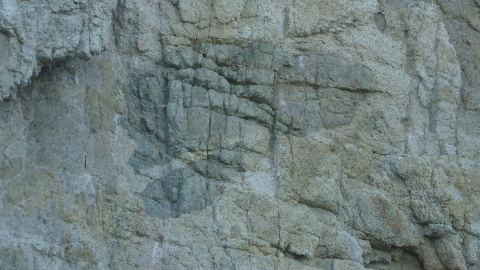 d0159062_13281649.jpg