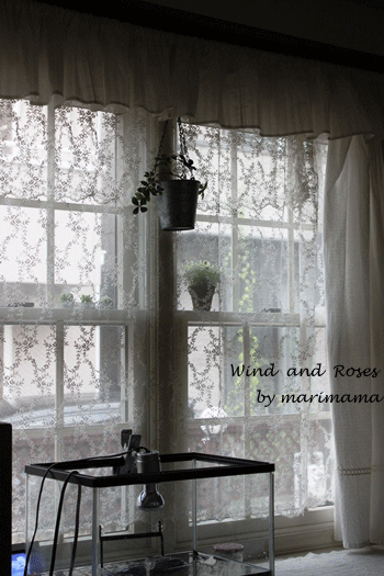 e0272870_22263137.gif