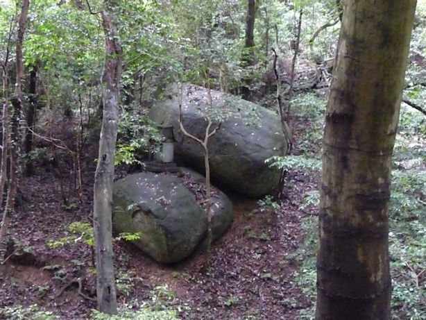 e0165472_23304680.jpg