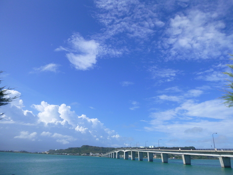 f0016981_35037.jpg