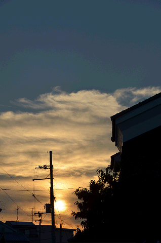 a0275782_2129239.gif