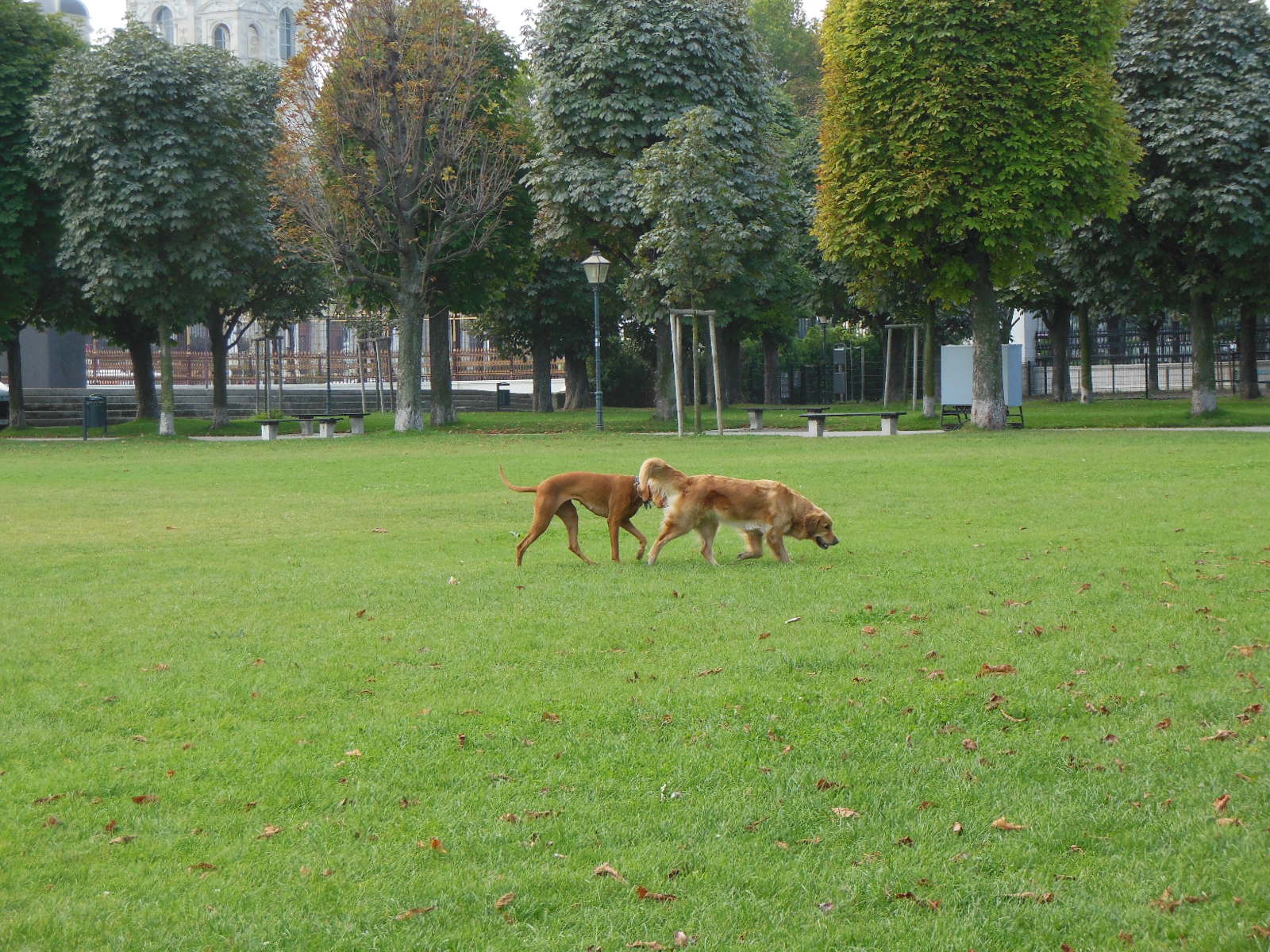 a0080183_35567.jpg
