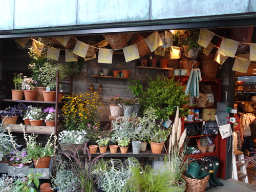 biotop（ビオトープ）ナーサリー、オープン／コウちゃん : ML日誌