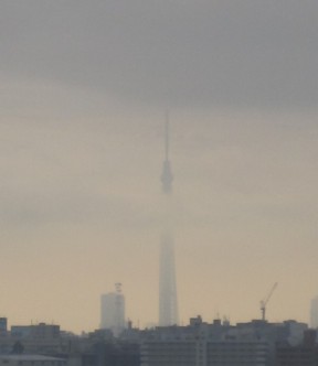 f0008991_19271252.jpg