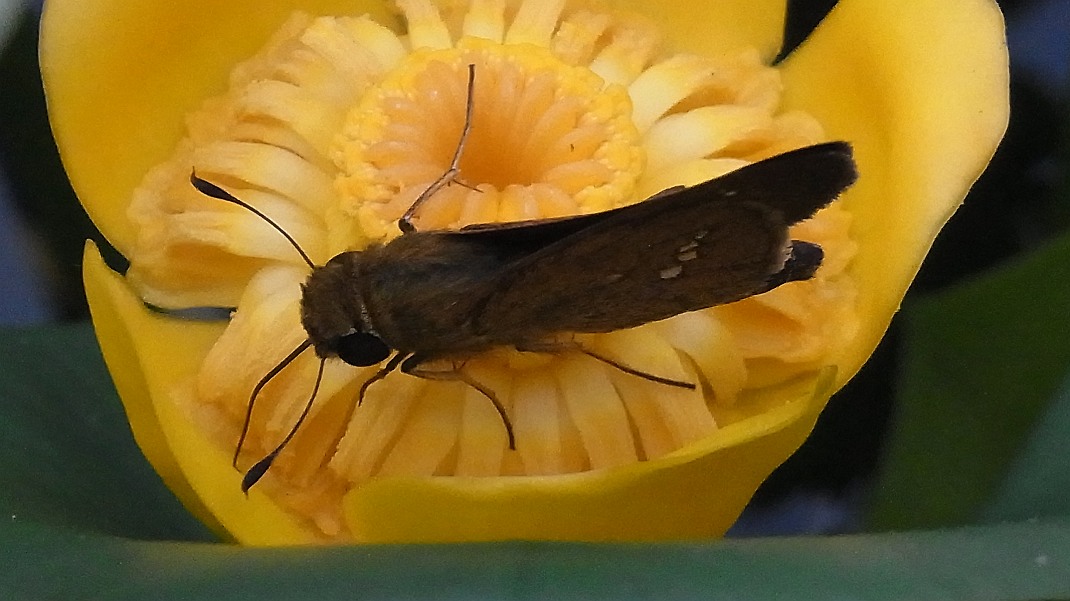 a0152692_18195725.jpg