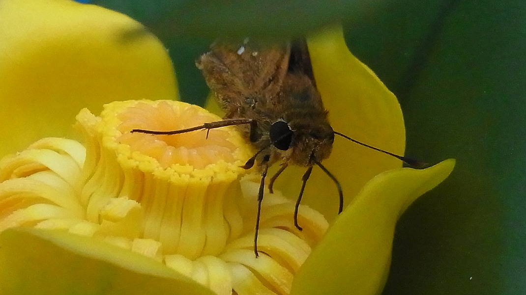 a0152692_18202380.jpg