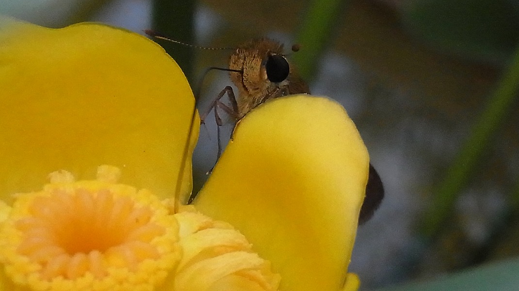 a0152692_18232897.jpg