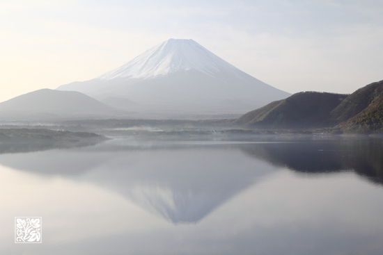 Low Chroma～Mt.Fuji_b0208495_233389.jpg