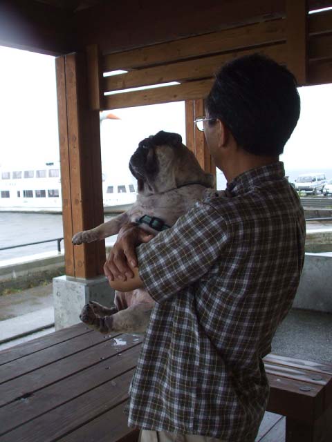 プチ旅福島県 その1 猪苗代湖_f0019498_1736162.jpg