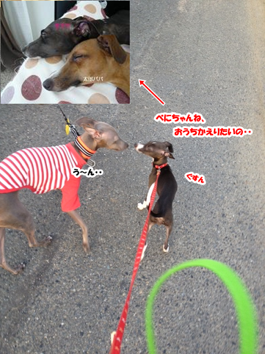 e0290901_17123056.png