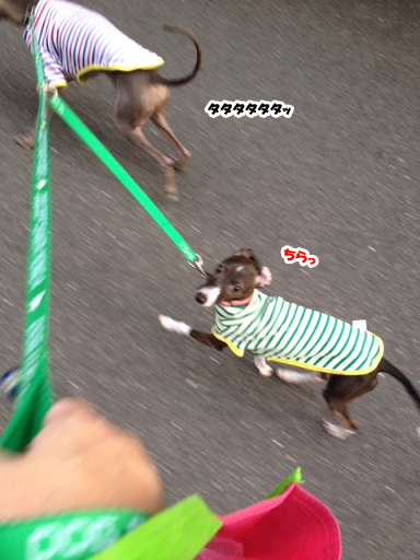 e0290901_17161342.png
