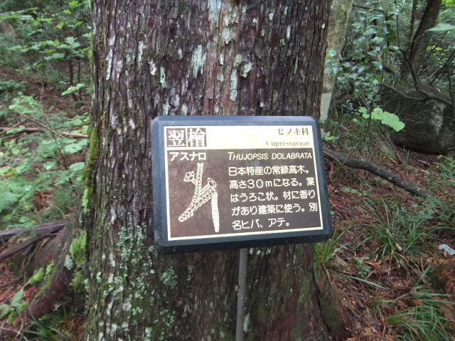 a0271502_14521813.jpg