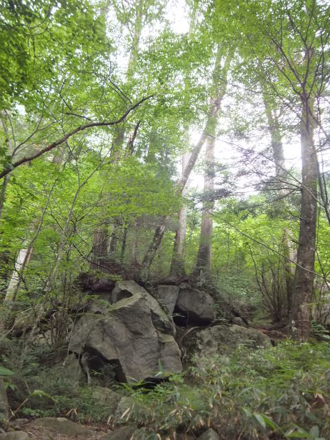 a0271502_15381969.jpg