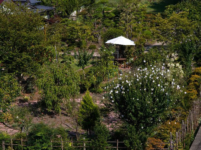 c0008502_9315464.jpg