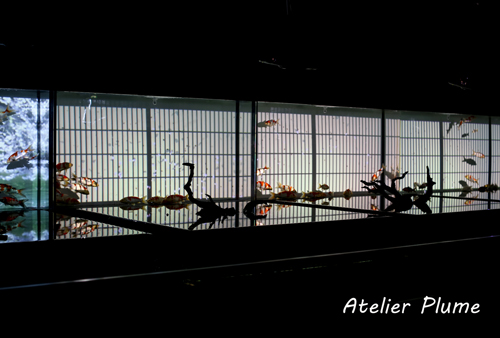 Art Aquarium展～江戸・金魚の涼～_e0154202_21504650.jpg