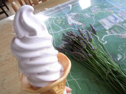 塩麹豆腐の和風おろし ハンバーグ♪☆ Oita~Kumamoto_b0246303_0353255.jpg