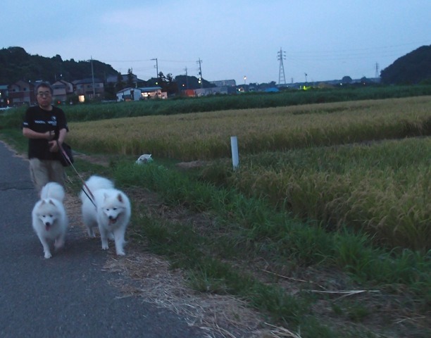 e0018604_1215872.jpg