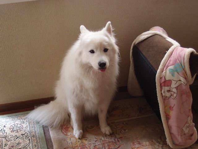 e0018604_1231250.jpg
