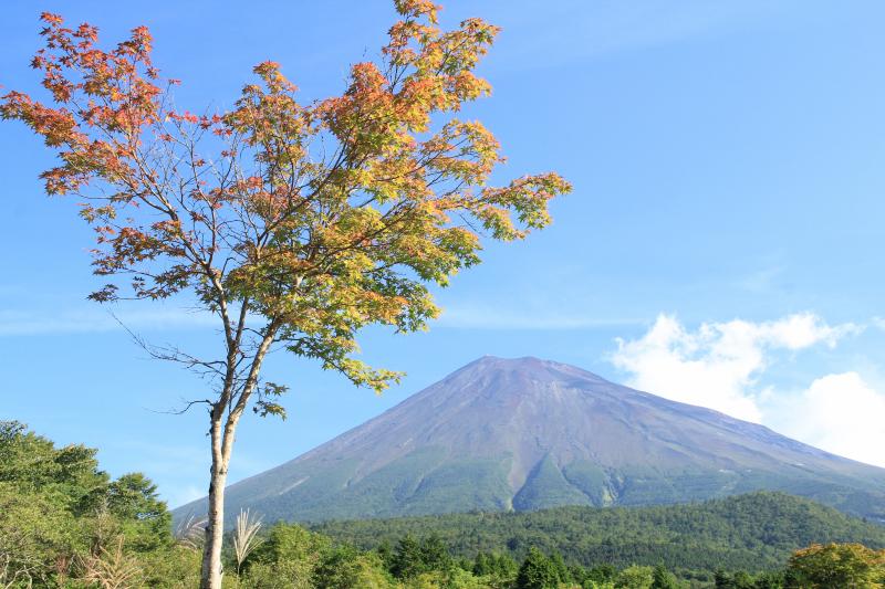 富士山麓の秋気配_a0188405_18252289.jpg