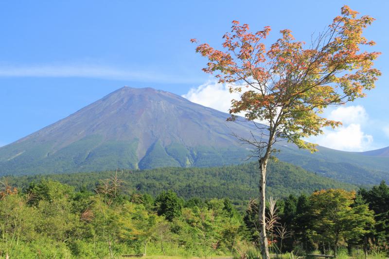 富士山麓の秋気配_a0188405_182743100.jpg