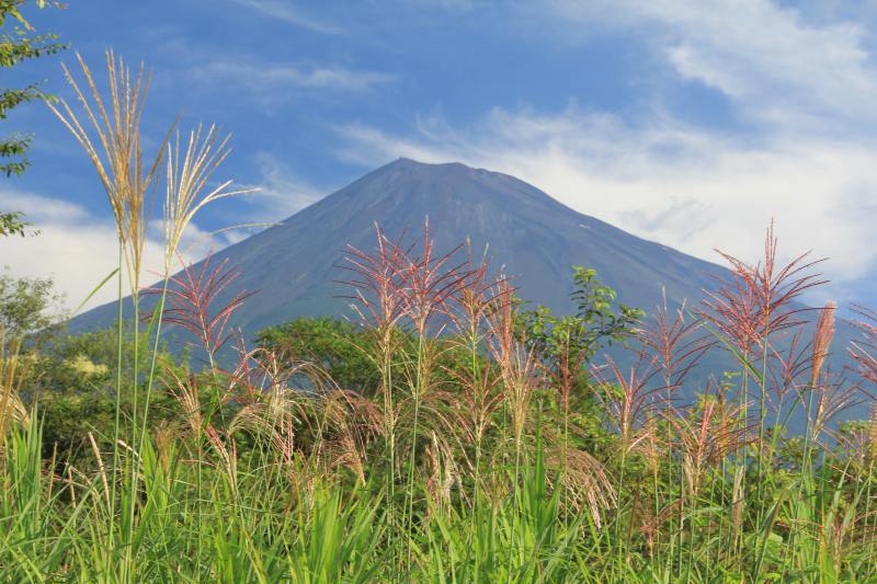 富士山麓の秋気配_a0188405_18305544.jpg