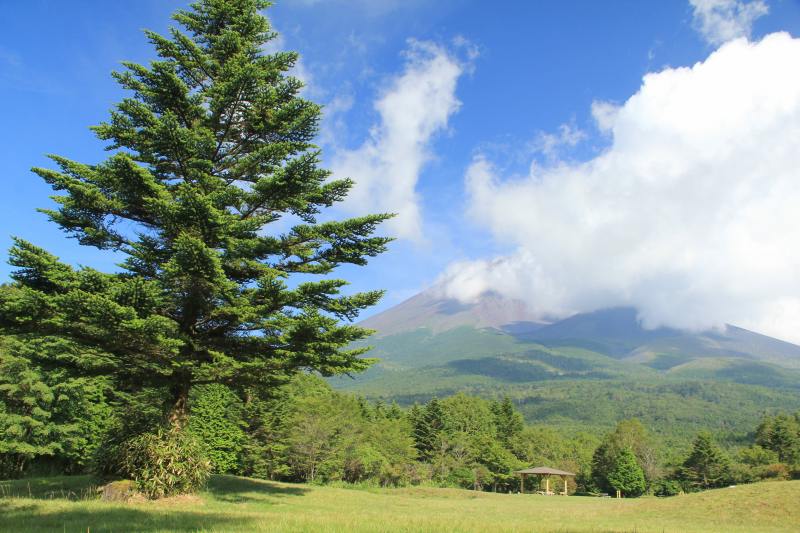 富士山麓の秋気配_a0188405_18323593.jpg