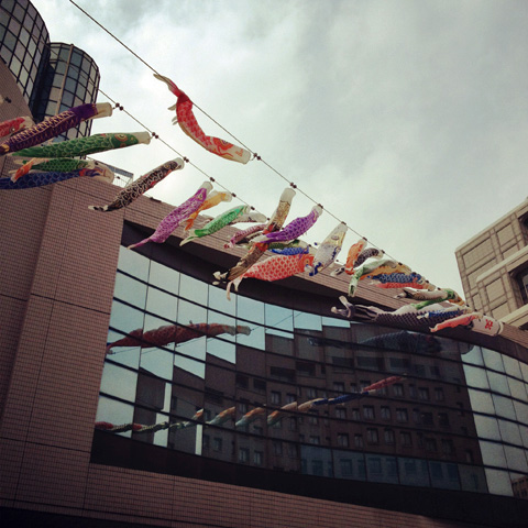 a0000006_058169.jpg