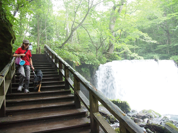 東北湯巡りキャンプ旅５（奥入瀬３・銚子大滝）_f0180607_3451546.jpg