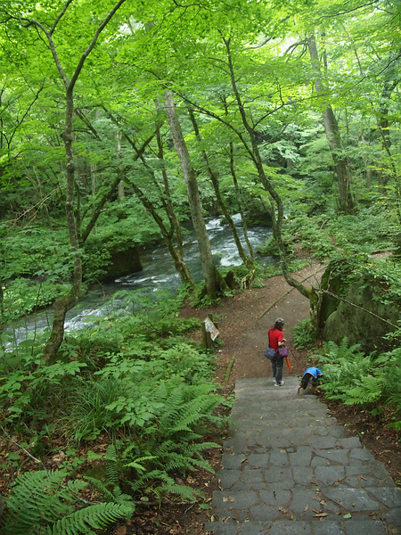 東北湯巡りキャンプ旅５（奥入瀬３・銚子大滝）_f0180607_3452917.jpg