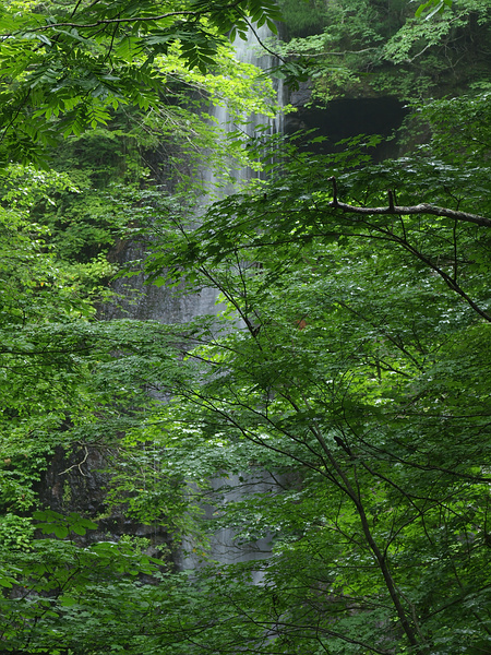 東北湯巡りキャンプ旅５（奥入瀬３・銚子大滝）_f0180607_3453999.jpg