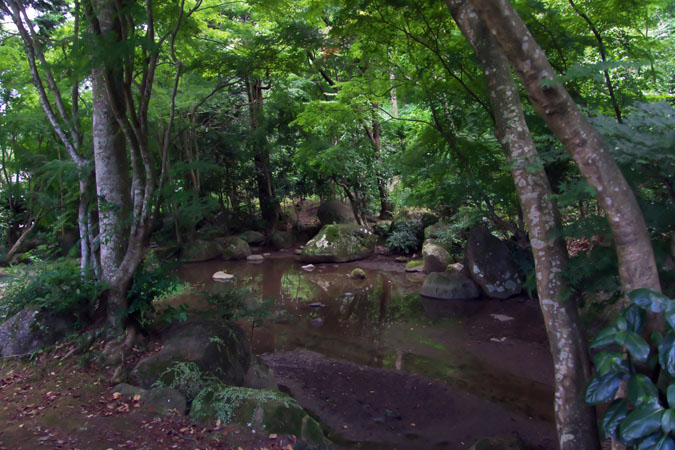 a0263109_14244913.jpg